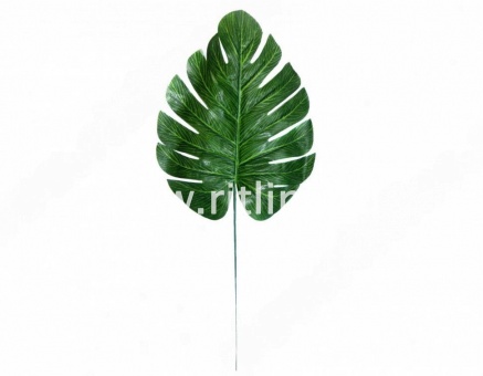 Лист монстеры FITTONE Лист монстеры FITTONE