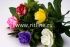 Букет пластиковой розы "Fittone", 1г, выс.23см, цв.микс